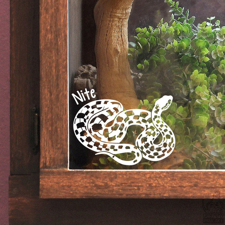 Decorative white Madagascar Cat-Eyed snake decal with 'Nite' text on a glass surface with plants and wood.