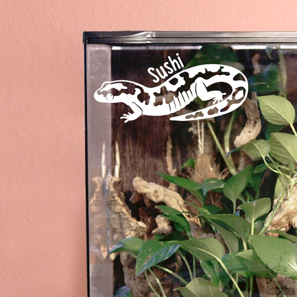 Corner of a tall glass enclosure with a white decal of a marbled salamander labeled 'Sushi' against a pink wall.