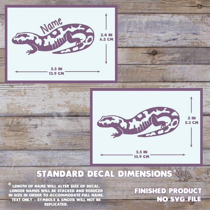 Decal dimensions chart for marbled salamander design on a wooden background. Measurement is 2.4 inches high by 5.5 inches wide.