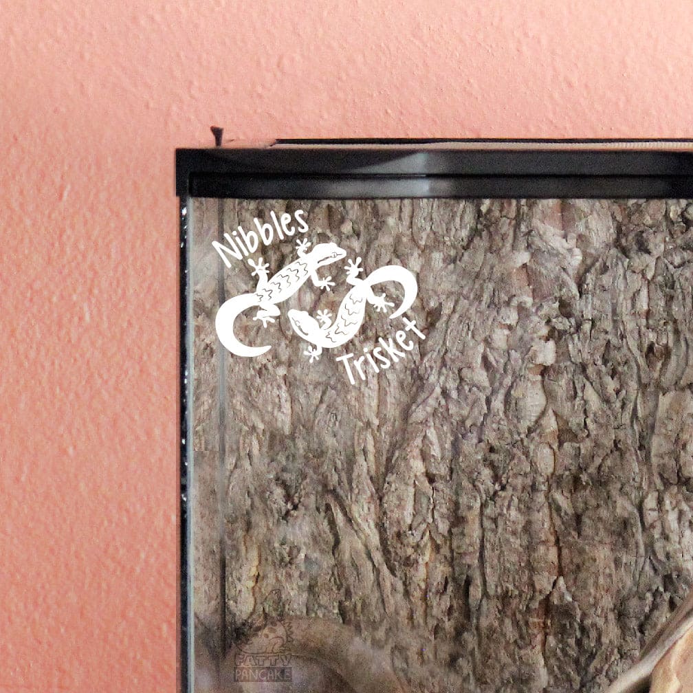 Decorative white vinyl decal of a Mourning Gecko design with the names Nibbles and Trisket on the graphic. The decal is placed on a corner of a small glass terrarium.