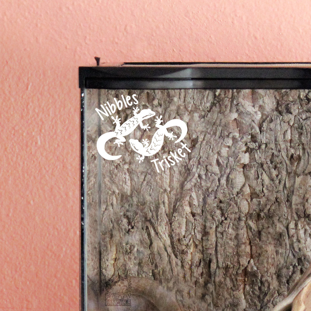 Decorative white vinyl decal of a Mourning Gecko design with the names Nibbles and Trisket on the graphic. The decal is placed on a corner of a small glass terrarium.