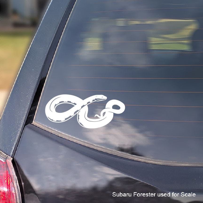 White snake decal on a car window with 'Subaru Forester used for scale' text.