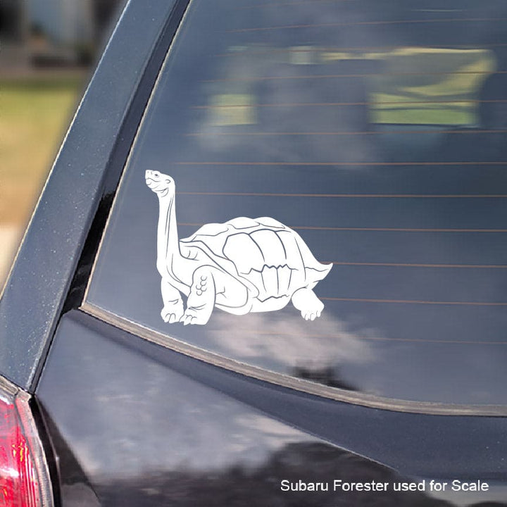 White turtle decal on a black car window with 'Subaru Forester used for scale' text.