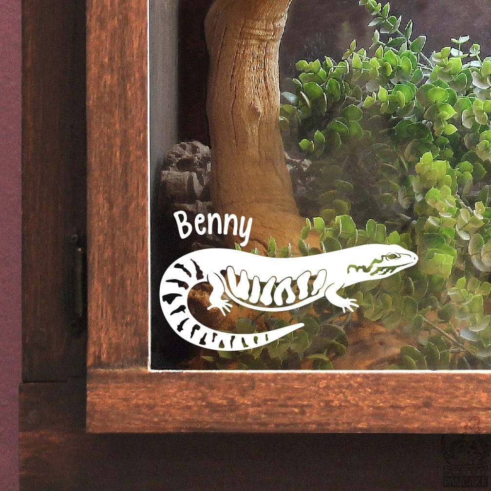 Decorative fire skink lizard decal named 'Benny' on a glass panel with a wooden frame enclosure and plant background.