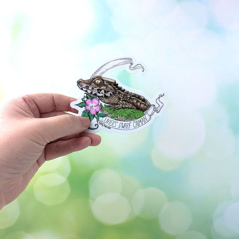 A hand holding the dwarf caiman sticker to show the size. It's height is 3.5" tall and length is roughly 3.5" wide. The material is a durable vinyl with a matte laminate to preserve the color. This item can be used indoor and outdoor. Typical longevity is 1-3 years depending on exterior conditions.