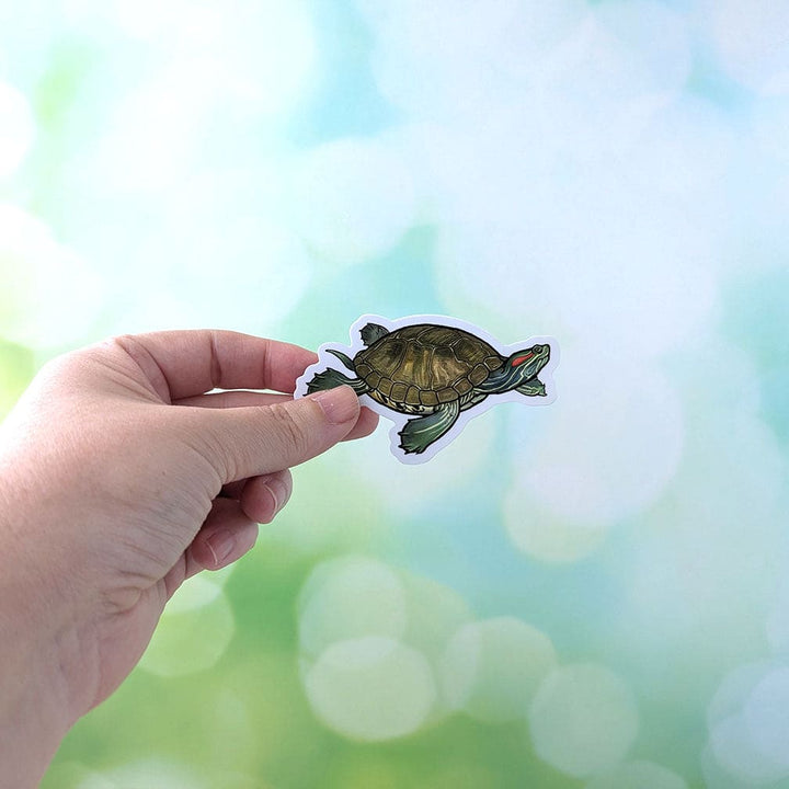 Paquete de pegatinas del equipo Tortuga