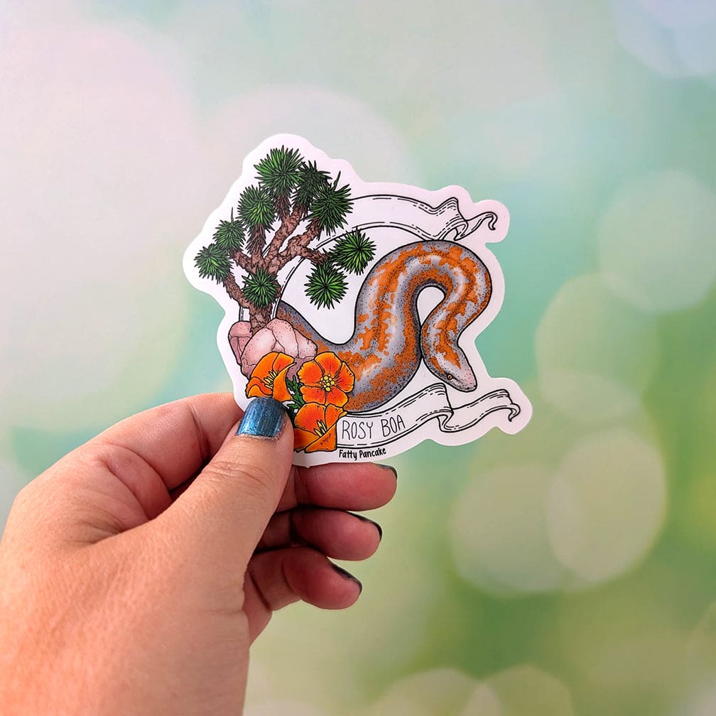 Rosy Boa Banner Sticker – Snake Vinyl Sticker