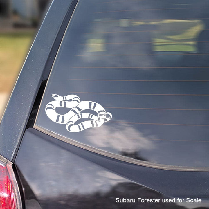 Car window with a Honduran Milk snake decal and 'Subaru Forester used for scale' text.