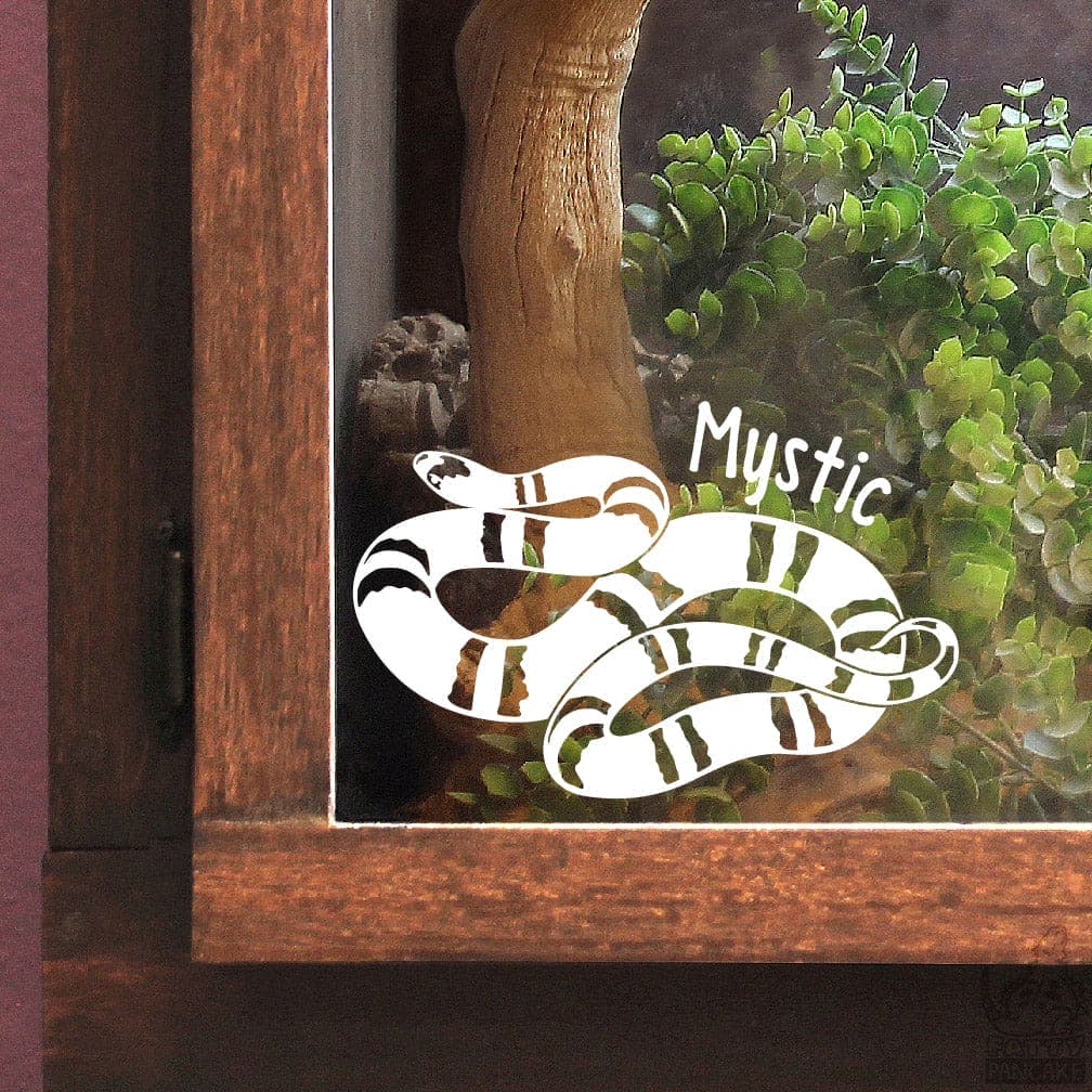 White Honduran Milk snake vinyl decal design with 'Mystic' text on a glass panel with wooden frame and greenery.