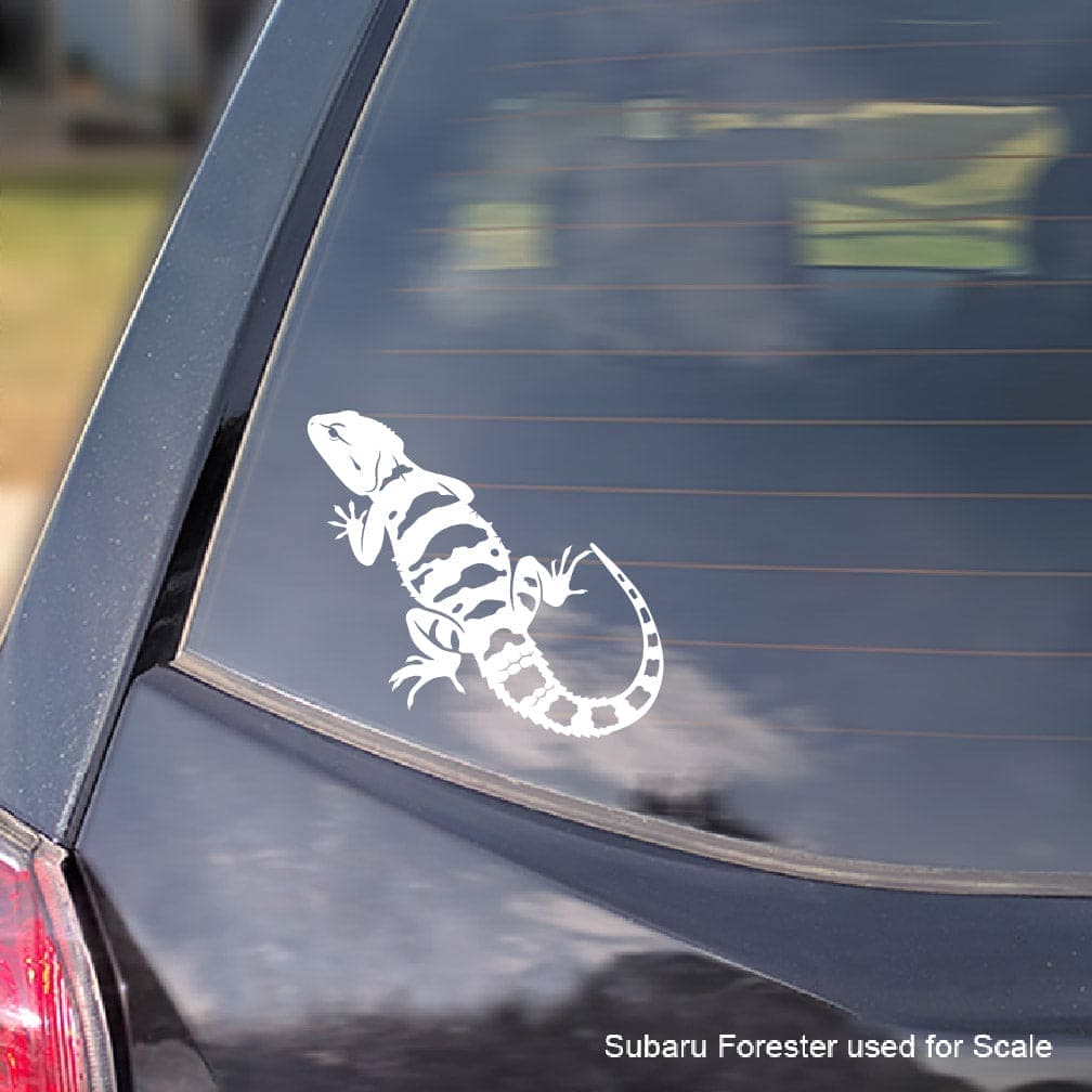White painted agama lizard decal on a car window with 'Subaru Forester used for scale' text.