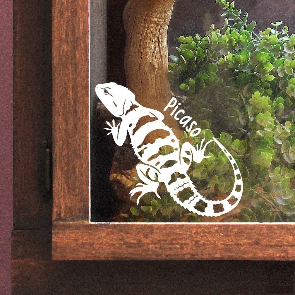 Decorative lizard decal affixed on the glass with 'Picaso' on an enclosure door  with plants and wood.