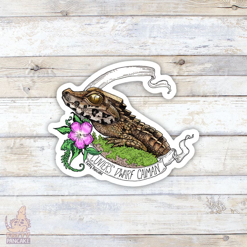 A sticker featuring a detailed illustration of a Cuvier's Dwarf Caiman with a pink flower. A dwarf caiman is a crocodile like reptile with brown and copper coloring with textured ridges along it's back and soft skin on the rest of it's body. The sticker has a white banner with the text "Cuvier's Dwarf Caiman" and the artist's name "Fatty Pancake".