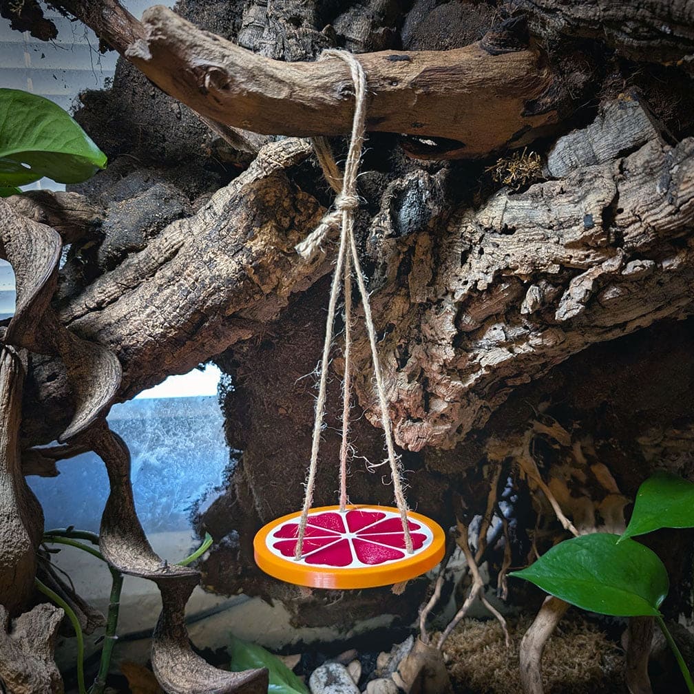 Reptile decor piece of a fruit slice hanging by it's cord via a loop around a branch. It is surrounded by cork bark and plants within the enclosure.