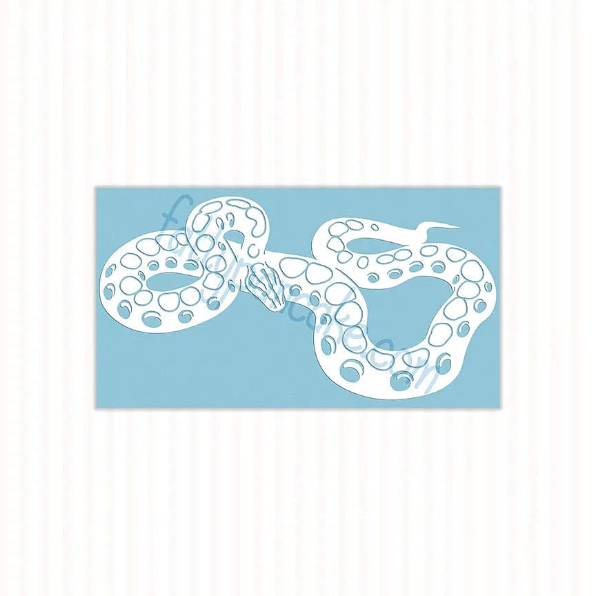 Rainbow Boa Decal, Waterproof Vinyl Decal, Cute Snake Reptile Gift