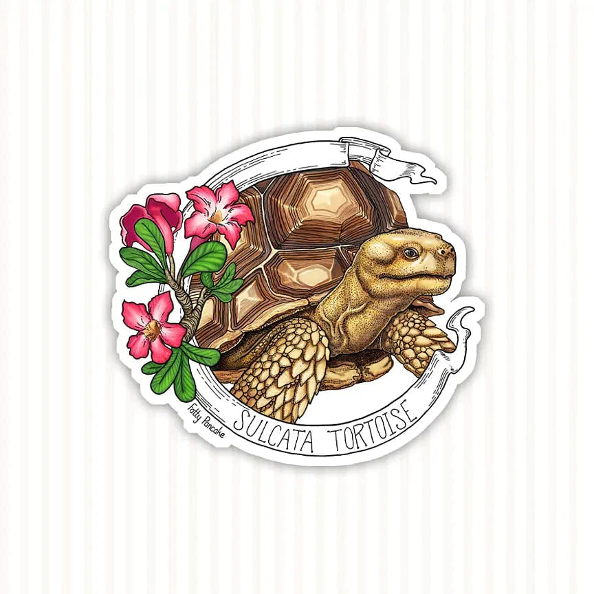 Wholesale - Sulcata Tortoise Sticker