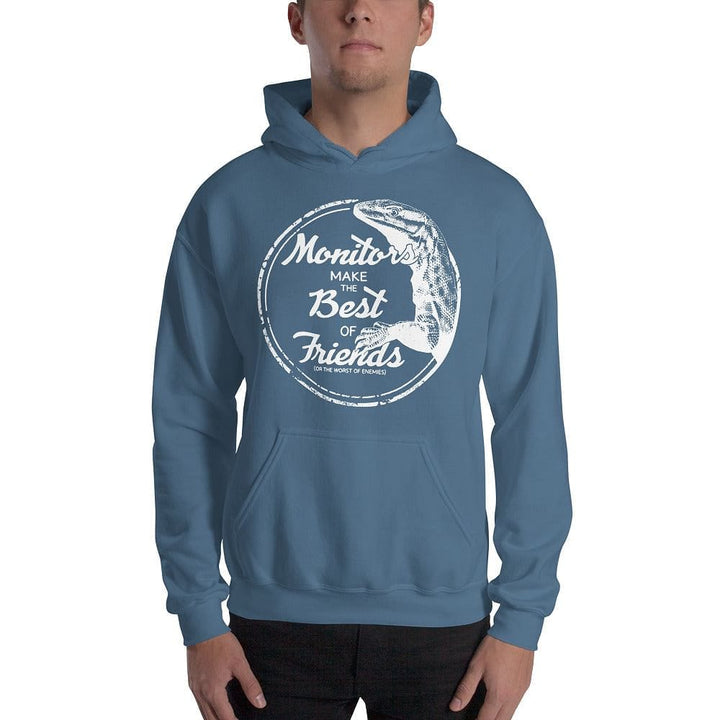 Monitors Make the Best of Friends Hoodie, Cute Reptile Gift Pullover
