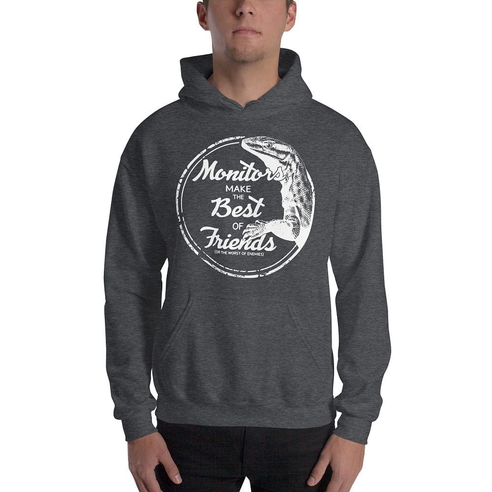 Monitors Make the Best of Friends Hoodie, Cute Reptile Gift Pullover